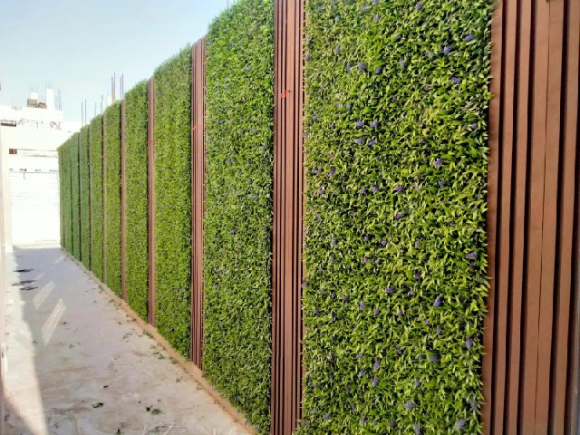 تنسيق حدائق منزلية وفيلات بالأحساء